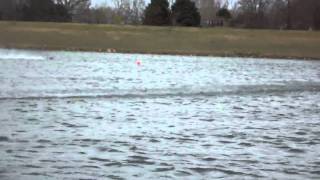 Namba 20 untouchable whiplash