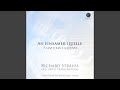 Stimmungsbilder, Op. 9: Intermezzo