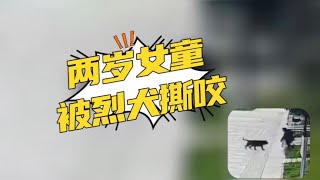 不能因为某些狗咬人就判定养狗不好，人还有好坏之分呢关键是主人