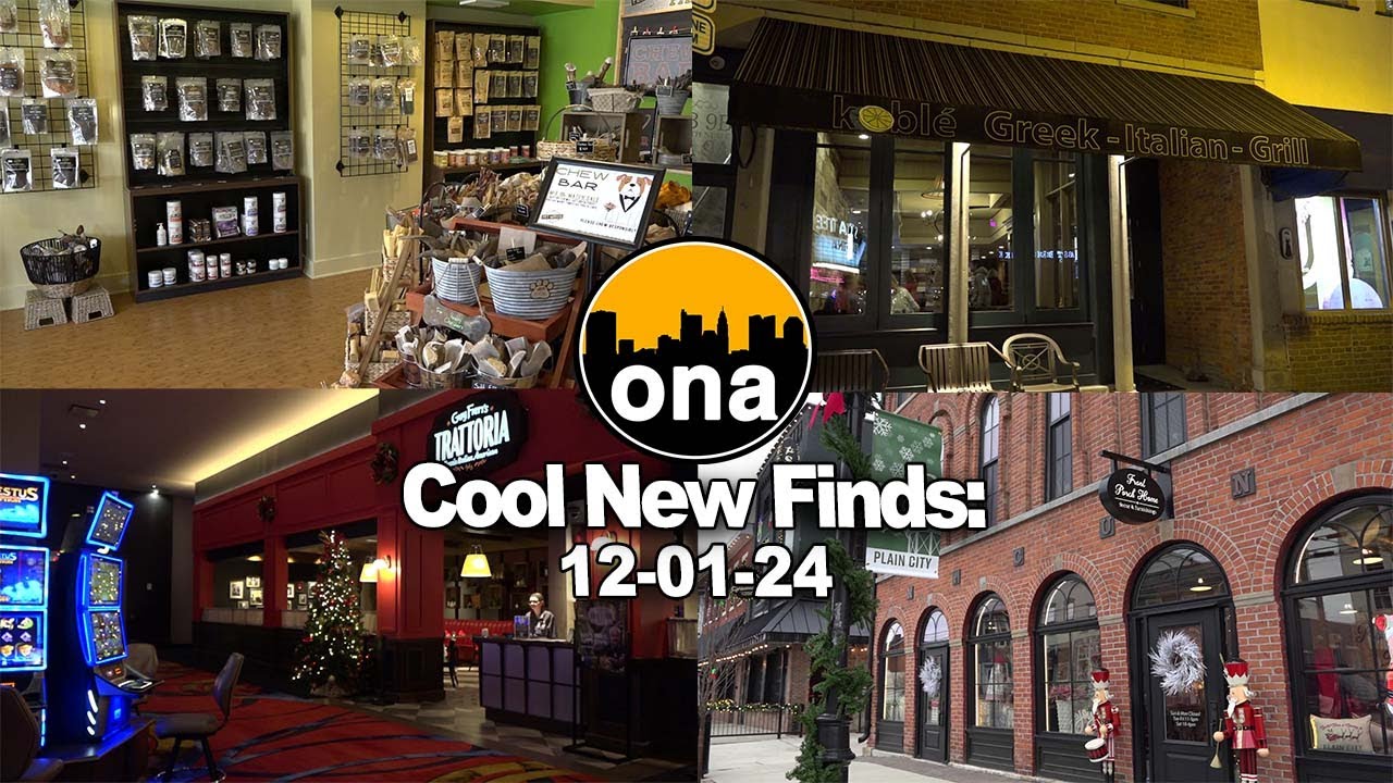 ONA: Cool New Finds November 2024