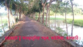 চারারহাট টু আওড়াবুনিয়া সড়কের দুইপাশের দৃশ্যসমূহ, কাঠালিয়া, ঝালকাঠি।৥Road...