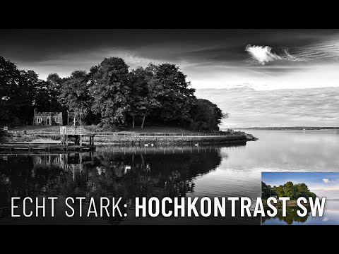 Luminar NEO ✱ Really strong: High contrast SW ✱ Free preset