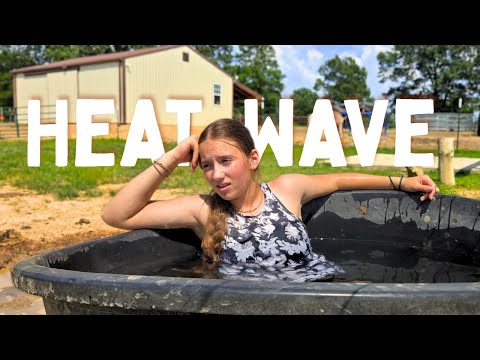 Surviving the SUMMER HEAT with 70+ FARM Animals 🥵