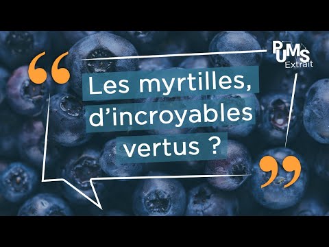 , title : 'Les myrtilles : d’incroyables vertus ?'
