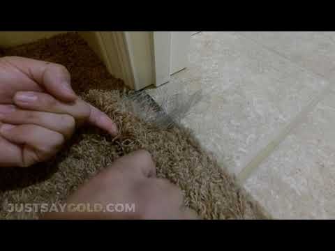 YouTube video about: How to fix carpet dog tore up?