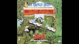 The Beach Boys  - She's Goin' Bald (1967)