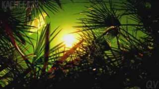 QueenVillainess&#39;s Survivor Tocantins FanMade Intro