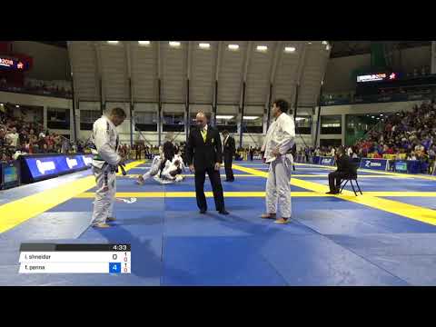 IGOR SCHNEIDER vs FELIPE PENA - 2018 World IBJJF Jiu-Jitsu Championship