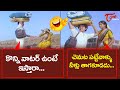 Suman And Vijayashanti Best Comedy Scenes Telugu Movie Comedy Scenes NavvulaTV