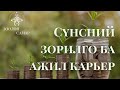 Сүнсний карьераа хэрхэн олох вэ Гэмгүй баялаг цуврал 5