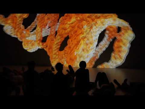 Ars Electronica Festival 2016