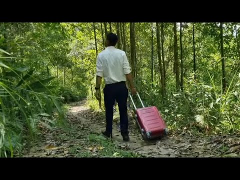 Full Video Duong Phong left the city and returned to his hometown to build a shelter in terror.