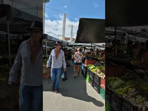Feira livre da cidade de andorinha Bahia