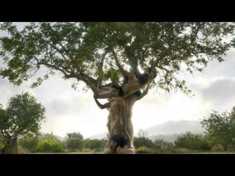 Hedonistic - Renovatio #hedonistic #techno #chill