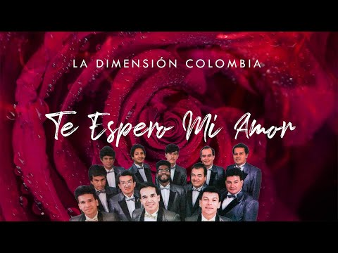 Te Espero Mi Amor – La Dimensión Colombia (Letra Oficial) Salsa Romántica