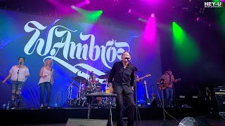 Wolfgang Ambros - Da Hofa &amp; Die Blume aus dem Gemeindebau [Live 2024]