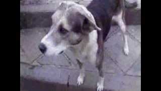 Llégale a mi Guarida desde Cusco (Calle 13)