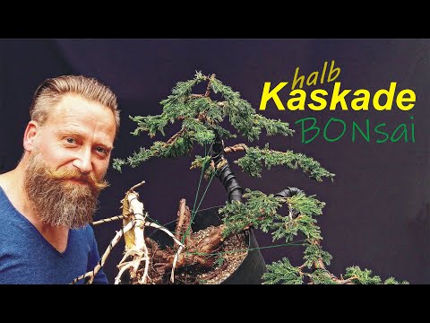 Design of a semi-cascade