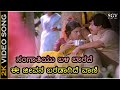 ಸಂಗಾತಿಯು ಬಳಿ ಬಾರದೆ ಈ ಜೀವನ ಬರಡಾಗಿದೆ 2K ವ�