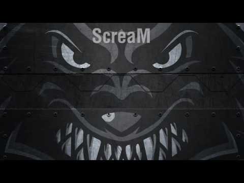 Presentación Elite Wolves - Overwatch