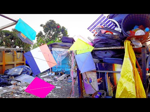 THIS IS THE PLACE WHERE THE MOST KITES FALL IN THE WORLD. I CATCHED 100 KITES IN 10 MINUTES.