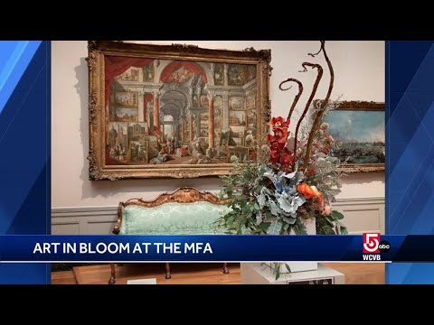 'Art in Bloom' festival returns to Museum of Fine Arts, Boston for first time in 3 years