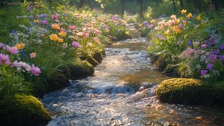 🌵 Music Therapy 🌿 Restores Emotional Balance, Calms Nerves & Soothes the Soul