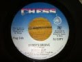 Buddy's Groove  Buddy Guy Chess