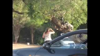 The Goose Bay Disicples Camping/Jamboree/Fishing Trip Video