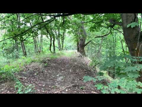 The AVUS Südkurve | Keerans Range