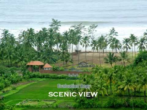 download lagu mp3 mp4 Prakruti Resort Kashid Distance From Mumbai, download lagu Prakruti Resort Kashid Distance From Mumbai gratis, unduh video klip Prakruti Resort Kashid Distance From Mumbai