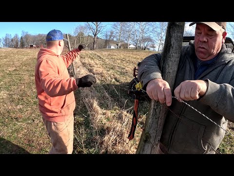 Fixing fence before its too late