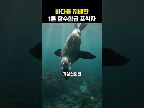 바다로 들어가기 전 뱃속에 20kg이 넘는 돌을 채워 넣는 거구의 맹수