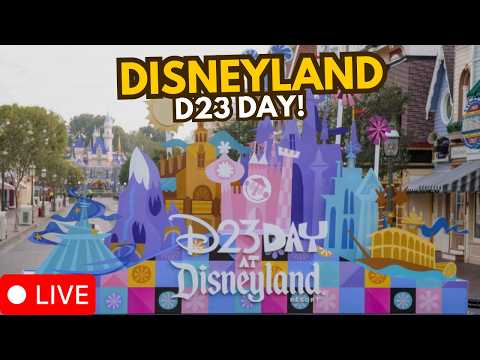 Live webcam of Disney Parks with Love