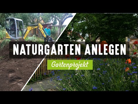 How to create a natural garden | Planning, design, landscaping