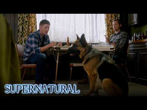 Collection: Most Epic “Supernatural” Moments, Part 1 | Supernatural