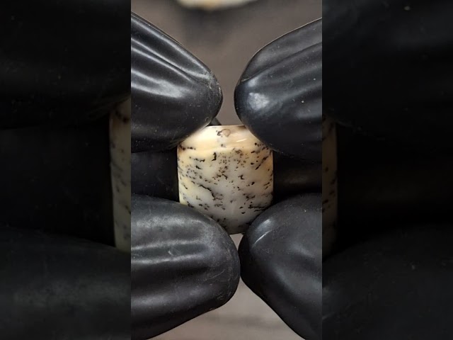 حجر اوبال شجري طبيعي