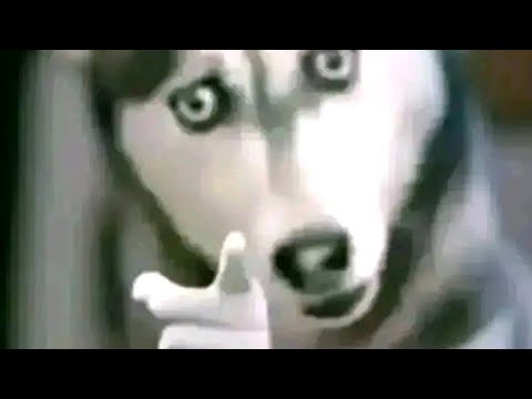 Kabza De Small - Mbalenhle