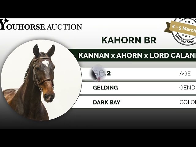 Kahorn showvideo outdoor