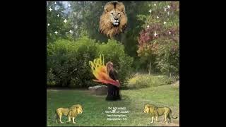 Rise like Lions
