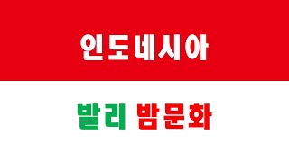 인도네시아 발리 밤문화 2분미만 요약