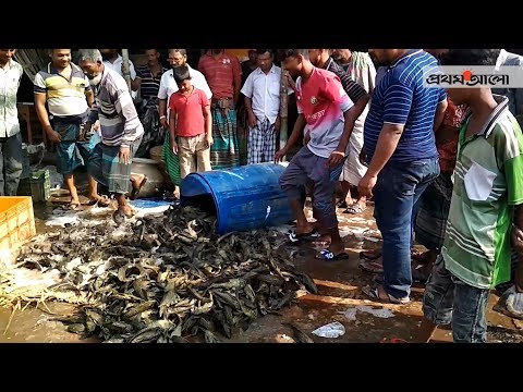 download lagu mp3 mp4 Prothomalo, download lagu Prothomalo gratis, unduh video klip Prothomalo