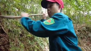 Full video of 3 days of survival in the forest and making a shelter underground alone