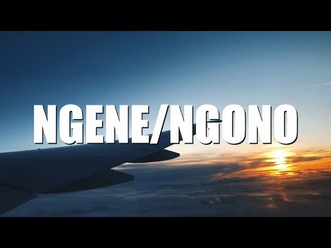 NGENE/NGONO