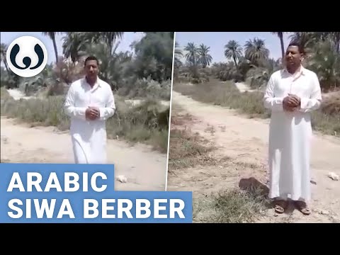 Nasser speaking Arabic and Siwi | Egyptian languages | Wikitongues