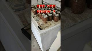 Fill Your Pantry With Canning Jars of Treasure