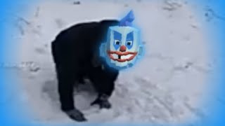 Snusoed | Ultimate Sandbox