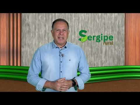 SERGIPE RURAL - PROGRAM 29 - 2nd season