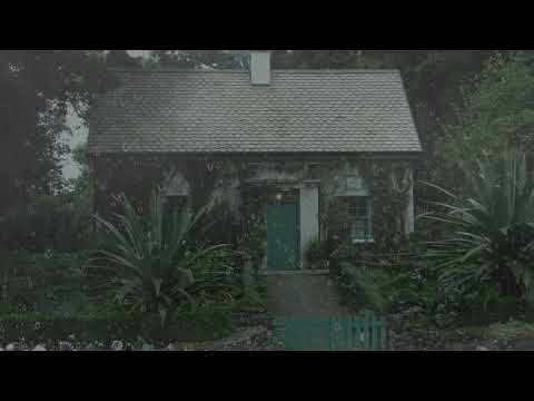 Sueño Instantáneo en 11 minutos 💤 Sonido de Lluvia Relajante en Techo en Bosque Brumoso para Dormir