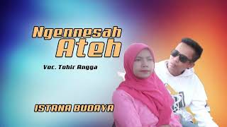 Download lagu lagu madura NGENES ATE voc tohir angga cipta Alfanada music Lirik thr angga mp3